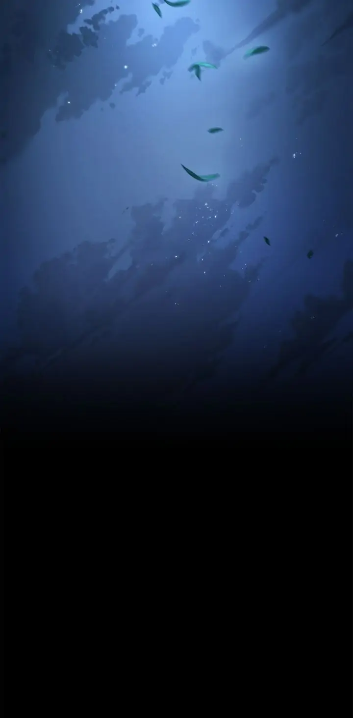 24525893 720 1462 9774